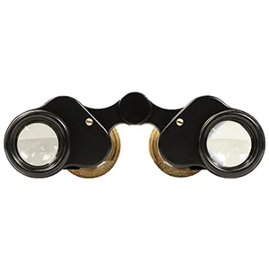 Nikon Trailblazer 8x25 ATB Waterproof Black Binoculars - NIKON Trailblazer Binoculars