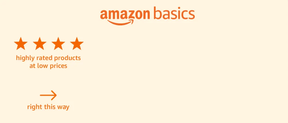 Amazon Basics Single Padded Ski Bag Medium - test