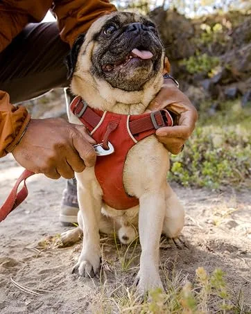 Ruffwear, Front Range Dog Day Pack, Backpack with Handle for Hikes & Day Trips, Red Clay, Medium Medium Red Clay - front range harness pug