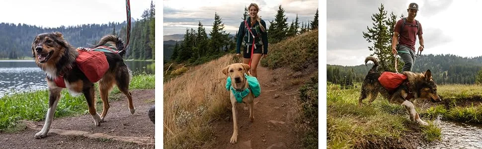 Ruffwear, Front Range Dog Day Pack, Backpack with Handle for Hikes & Day Trips, Red Clay, Medium Medium Red Clay - Ruffwear
