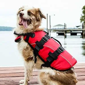 EzyDog Premium Doggy Flotation Device (DFD) - Adjustable Dog Life Jacket Preserver with Reflective Trim - Durable Grab Handle for Safety and Protection - 50% More Flotation Material (Large, Red) 1 Red Large - golden retriever wearing best dog life jacket for swimming with comfort and buoyancy