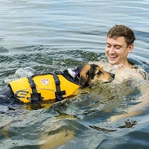 EzyDog Premium Doggy Flotation Device (DFD) - Adjustable Dog Life Jacket Preserver with Reflective Trim - Durable Grab Handle for Safety and Protection - 50% More Flotation Material (Large, Red) 1 Red Large - happy man swimming with dog wearing buoyant life jacket