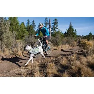 Ruffwear, Singletrak Dog Pack, Hiking Backpack with Hydration Bladders, Red Currant, Small Small Red Currant - product information 10