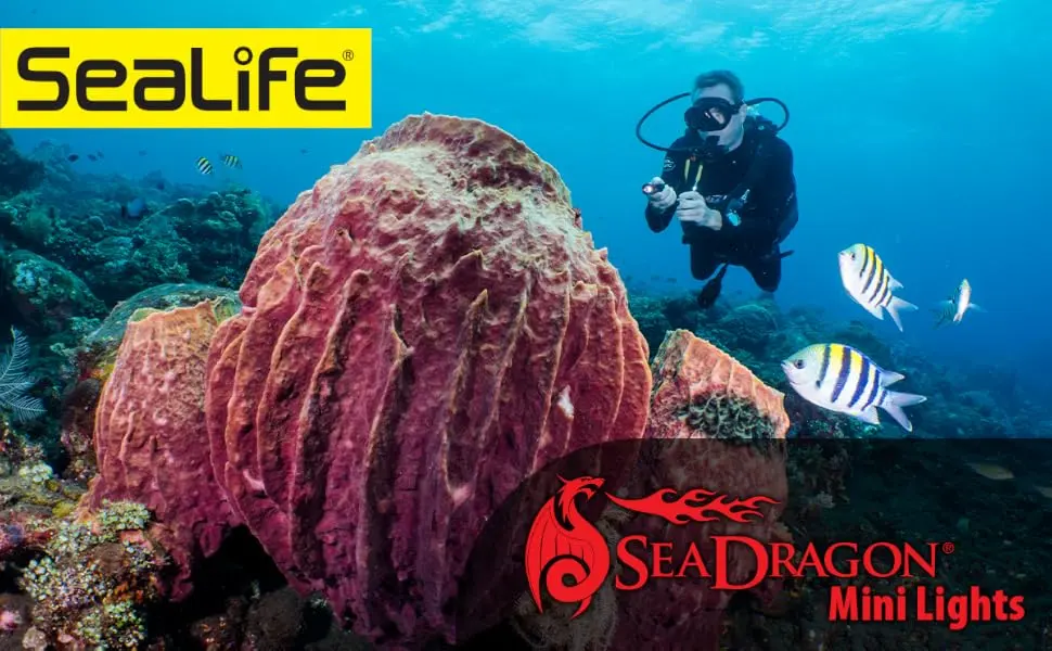 SeaLife Sea Dragon Mini 900S Compact LED Dive Light (SL653) - Sea Dragon Mini Lights
