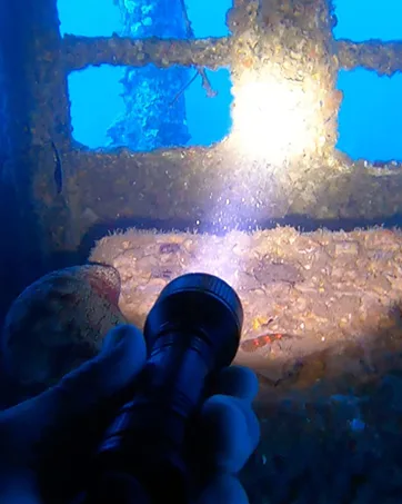 ORCATORCH D550 Scuba Dive Light, 1000 Lumens Super Bright Underwater Diving Flashlight with 3 Modes, IP68 Waterproof Night Dive Torch 150 Meters Submersible Light - ORCATORCH D550 Dive Light