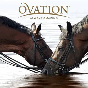 Ovation EuroWeave Knee Patch Breech - Mens - WHITE - brand logo horses ovation