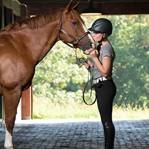 Troxel Equestrian-Helmets Intrepid Mulberry Large - Intrepid