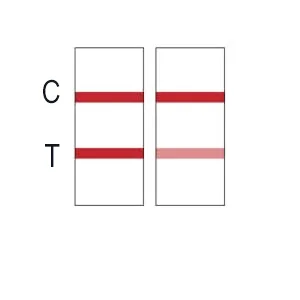 25 PackU-CATCH Plus Test Cup Kit for All: 12 Panel Urine Test Cup Rapid Test at Home - Negative