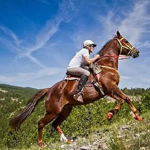 Troxel Dakota Horseback Riding Helmet Medium (7 - 7 1/4) Brown - Riding Helmet