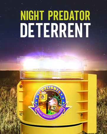 FOXLIGHTS Solar Night Predator Deterrent- Predator Control LED Light. Protect Flocks & Crops! 1 Unit Flashes 360 Degrees Scare Away & Alarms Wildlife Professional Farmers and Ranchers use This! - fox light seeds