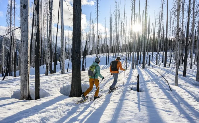 MSR Evo Trail Snowshoes Iron - Two people snowshoeing through a forest