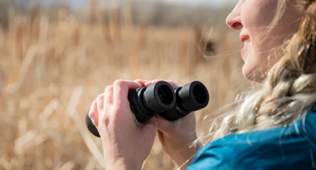 NIKON PROSTAFF P7 10X42 - binoculars