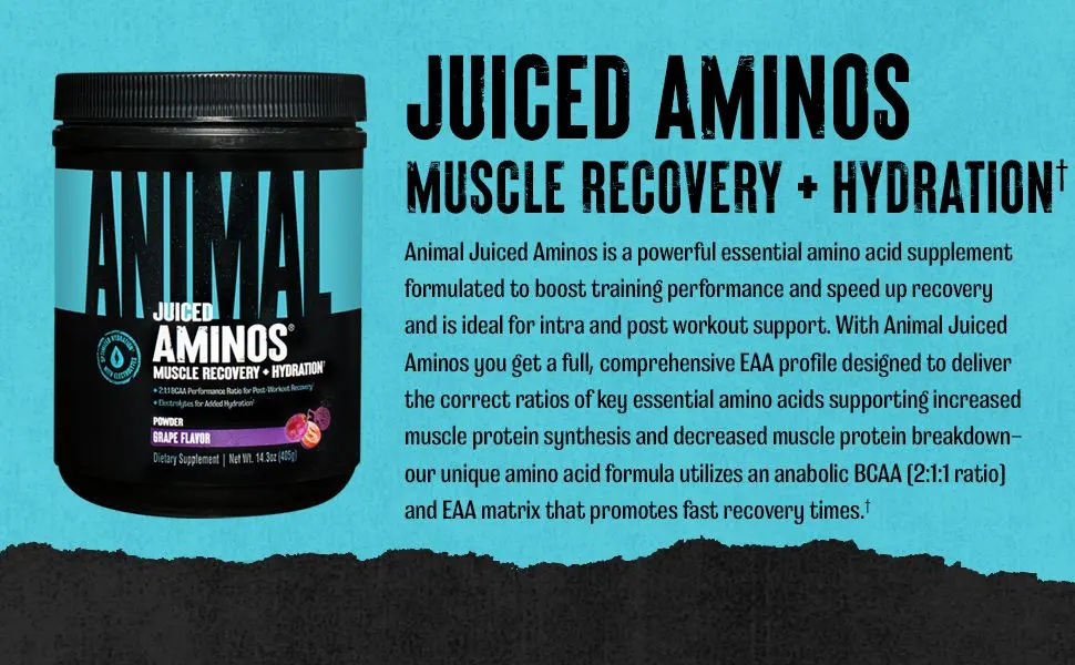 Animal Creatine Chews Tablets - Enhanced Creatine Monohydrate with AstraGin to Improve Absorption & Juiced Amino Acids - BCAA/EAA Matrix Plus Hydration with Electrolytes and Sea Salt - product information 5