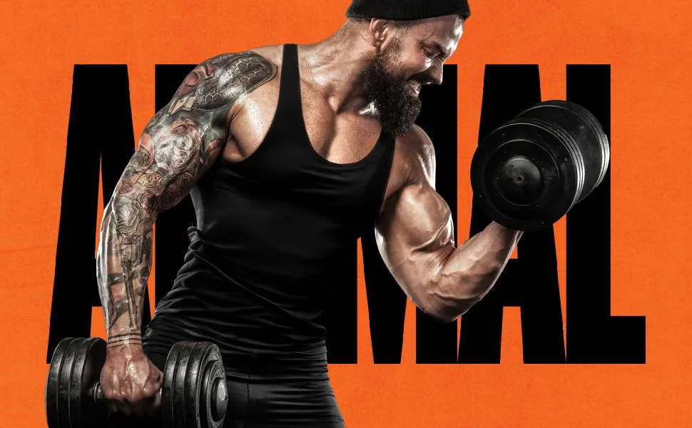 Animal Whey Isolate Protein Powder Loaded for Post Workout and Recovery & Fury - Pre Workout Powder Supplement for Energy and Focus - product information 6