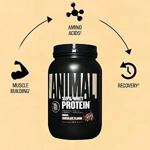Animal Whey Protein Powder and Creatine Chews Tablets Bundle - Chocolate Flavored 4 lb Protein and Fruit Punch Flavored Creatine for Pre/Post Workout - product information 3