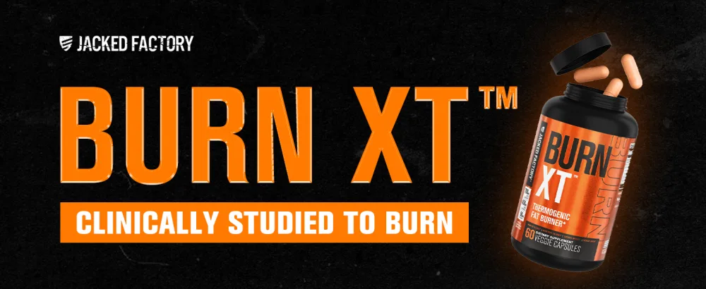 Jacked Factory Burn-XT Clinically Studied Fat Burner & Weight Loss Supplement (60 Capsules) Lean-XT Max - High-Performance Stim-Free Fat Burner (90 Capsules) - burn xt