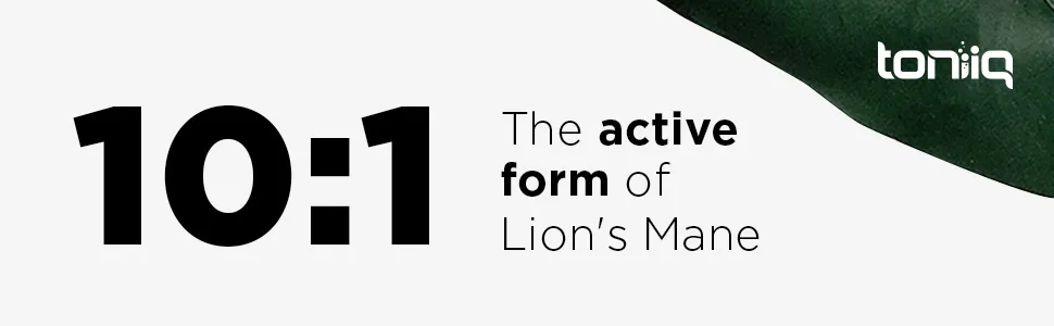 Lion s Mane Powder - Ultra High Potency 10:1 Extract with 30% Polysaccharides - Highly Concentrated - Third-Party Lab Tested - 90g - Lions Mane Powder