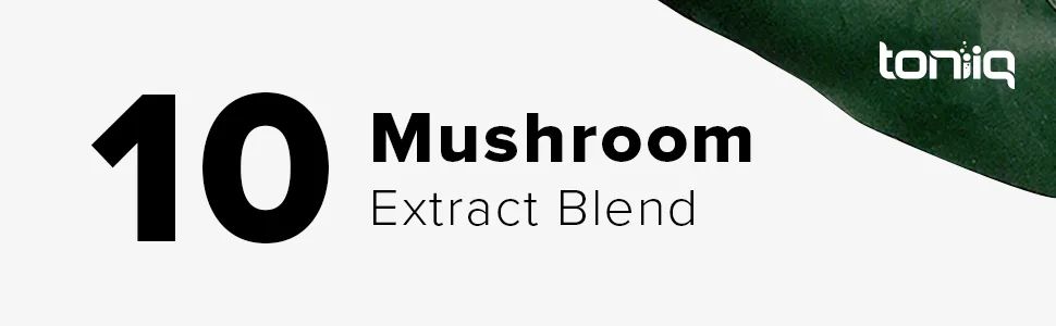 Mushroom Gummies - Ultra High Potency 10:1 Extract with Lion s Mane Chaga & Reishi - Powerful 10-Mushroom Blend - Third-Party Lab Tested - 90 Gummies - Mushroom Gummies