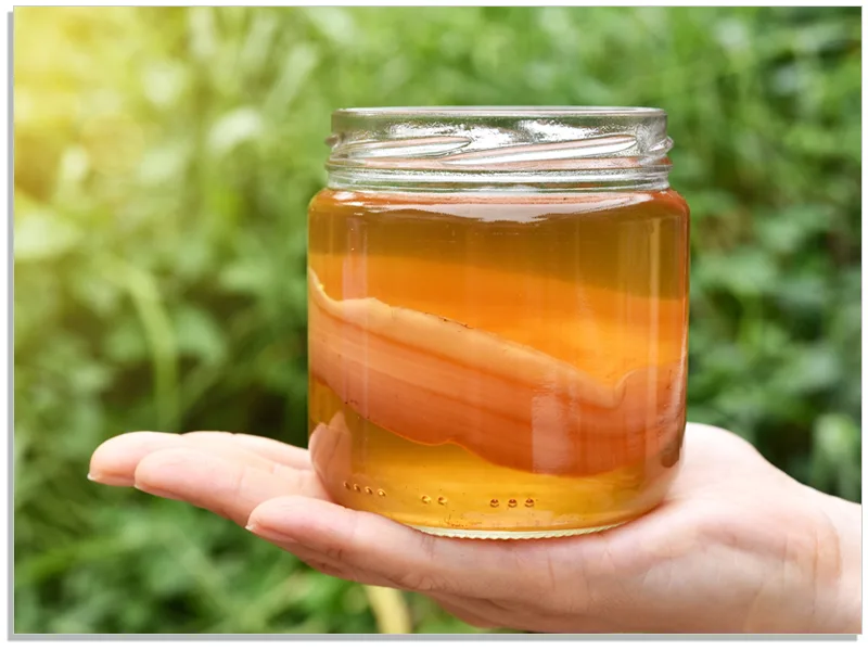 Fermentaholics USDA Certified Organic Loose Leaf Dragonwell Green Tea - Perfect For Kombucha and Jun Kombucha Brewing - seed culinary darjeeling leave life gun pouches garden harvested morning bud verde kit gallon te tes