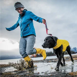 RC Pets Delta Rain Slicker, Water-Resistant Dog Raincoat, X-Small, Cyan Stripe XS Cyan Stripe - Delta Rain Slicker