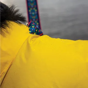 RC Pets Delta Rain Slicker, Water-Resistant Dog Raincoat, X-Small, Cyan Stripe XS Cyan Stripe - Stratus Puffer
