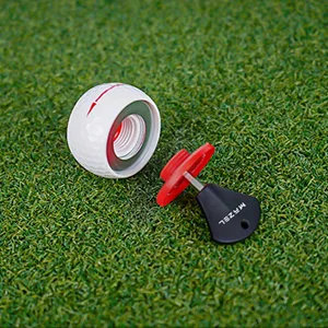 MAZEL Golf Practice Putting Ball,Golf Training Aid for Putting Green/Mat,Golf Putting Accuracy Trainer with Instant Feedback Wheel-like Ball - dgwe