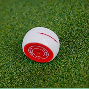 MAZEL Golf Practice Putting Ball,Golf Training Aid for Putting Green/Mat,Golf Putting Accuracy Trainer with Instant Feedback Wheel-like Ball - product information 2