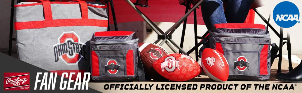 NCAA Signature Full Size Football (All Team Options) Wisconsin Badgers - ncaa