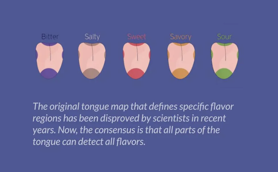 SpoonTEK - The Spoon that Elevates Taste (Beige) - different flavors the tongue can detect