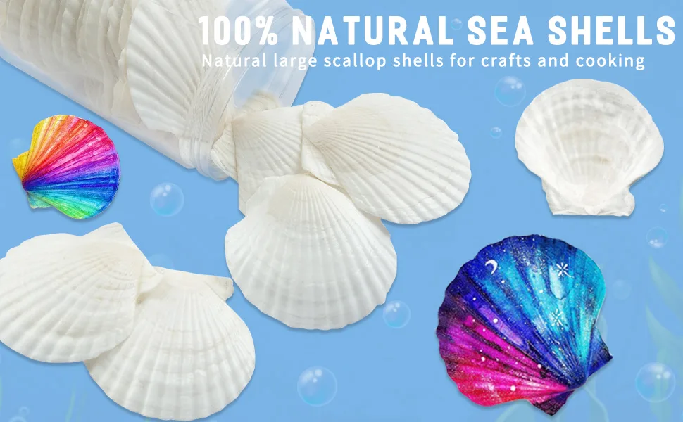 QICQDRAM 6PCS Large Scallop Shells Crafts 4''-5'' Large Shells Decoration, for Baking Shells, Crafts DIY Painting Beaching Wedding Decoration, Beach Natural Scallop Shells Bulk 4"-5" 6pcs - Scallop Shells