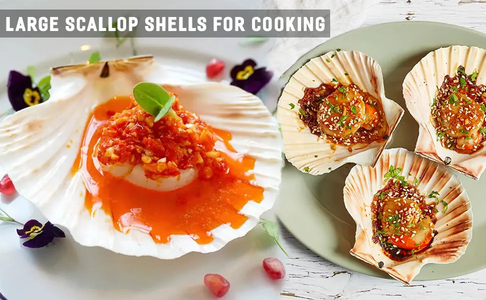 QICQDRAM 6PCS Large Scallop Shells Crafts 4''-5'' Large Shells Decoration, for Baking Shells, Crafts DIY Painting Beaching Wedding Decoration, Beach Natural Scallop Shells Bulk 4"-5" 6pcs - scallop shells for baking