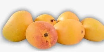Desi Kitchen Mango Pulps Delicious flavor By Rani Foods Inc (Kesar Mango Pulp 30oz) - Alphonso Mangoes