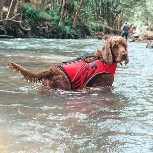 EzyDog DFD X2 Boost Dog Flotation Device - Adjustable Swim Life Jacket Preserver with Reflective Trim - Durable Grab Handle for Safety and Protection (M, Red) Medium Red - a life jacket for water dogs and any adventure near water