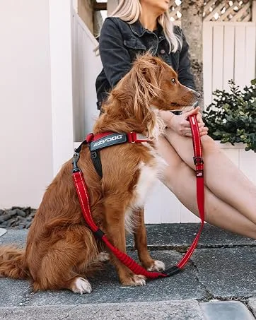EzyDog DFD X2 Boost Dog Flotation Device - Adjustable Swim Life Jacket Preserver with Reflective Trim - Durable Grab Handle for Safety and Protection (M, Red) Medium Red - EzyDog Adventure Dog Gear Durable Canine Accessories