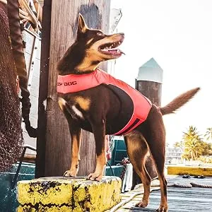EzyDog DFD X2 Boost Dog Flotation Device - Adjustable Swim Life Jacket Preserver with Reflective Trim - Durable Grab Handle for Safety and Protection (M, Red) Medium Red - slim performance dog life jacket
