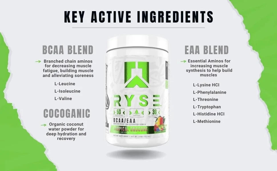 Ryse Core Series BCAA+EAA | Recover, Hydrate, and Build | with 5g Branched Chain Aminos and 3g Essential Aminos | 30 Servings (Tropical Snocone) - Ryse BCAA +EAA