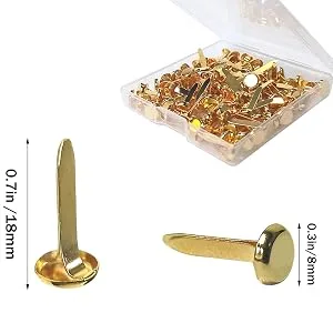 100 Pcs Brass Paper Fasteners, 8x17mm Plated Mini Brads for Scrapbooking Crafts DIY Projects (Gold) - Round head fasteners