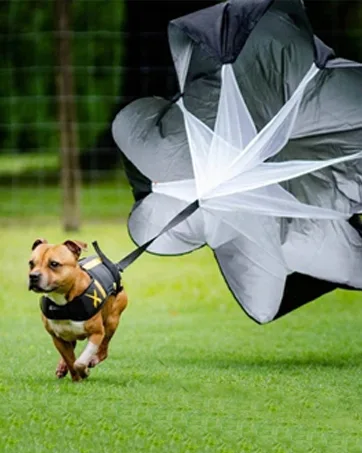 GIEMIT Running Speed Parachute,Speed Resistance Parachute with Adjustable Strap Black Training Parachute for Runner Speed Training and Acceleration Training 1 Umbrella - training parachute
