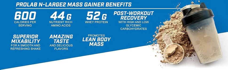 ProLab N-Large2 Mass Gainer - Powerful Mass Gaining Support Formula - Promotes Muscle Size, Growth, and Recovery - New (Vanilla Cupcake, 6 LB) Vanilla Cupcake 6 Pound - N-Large2 Mass Gainer Benefits