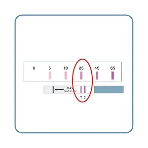Wondfo Ultra Accurate Ovulation Test Strips - Quantitative Urine Ovulation Tests with Numerical Result - 20 LH Test - product information 15