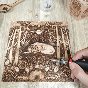 Wood Burning kit, Professional WoodBurning Pen Tool, DIY Creative Tools ,Wood Burner for Embossing/Carving/Pyrography,Suitable for Beginners,Adults - wood burning tool