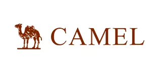 CAMEL Men's Winter Ski Jackets Waterproof Snow Coat with Hood Mountain Windproof Rain Jacket X-Large Army Green - camel