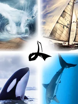 LAFROI Men's Quick Dry Cool Compression Fit Tights Shorts Waistband-YSK09 Commander Small - story