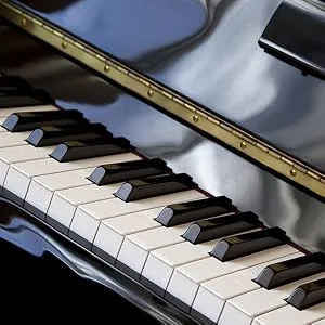 Piano Hinges, Heavy Duty Stainless Steel Continuous Hinge with Hole, Smooth Polished Folding Marine Hinge with Screws (12 INCH Piano Hinges) - Heavy Duty Continuous & Piano Hinge