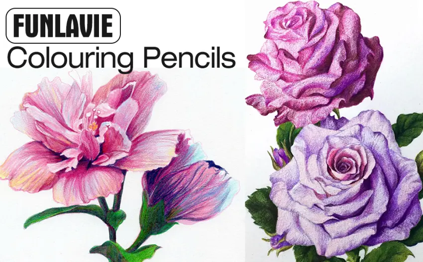 FUNLAVIE Colored Pencils 48 Coloring Pencils Premium Art Drawing Pencil for Adults Coloring Book - product information 1