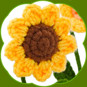 Yizzvb Crochet Kit for Beginners, 6 Pcs Flowers Knitting Kit for Beginners Adults, Kids Knitting Starter Kit with Step-by-Step Instructions and Video Tutorials, Easy Crochet Kit for Beginners orange - Crochet Kit for Beginners