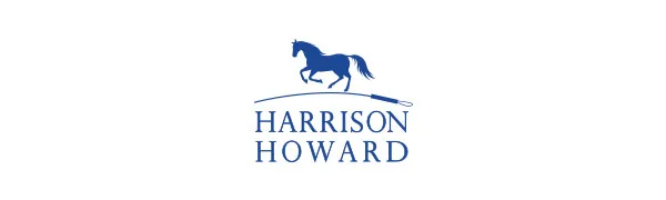 Harrison Howard Side Reins with Snap Hooks Easy Adjust Durable Training Product Pair Black - Harrison Howard
