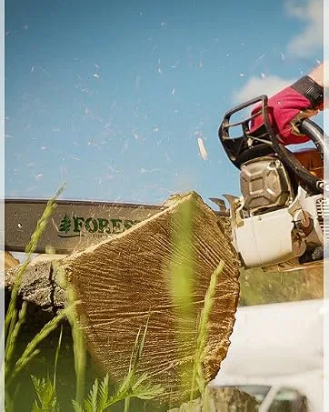 FORESTER Arborist Throwline Kit - MGP Supply Forester tools Chainsaw Blade Grass Cutter Arborist Throwline
