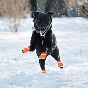 Dog Shoes Boots & Paw Protectors Snow Winter Large Medium Dogs Waterproof Hiking Orange 7 size 7: 3.4"(width) Orange - dog boots