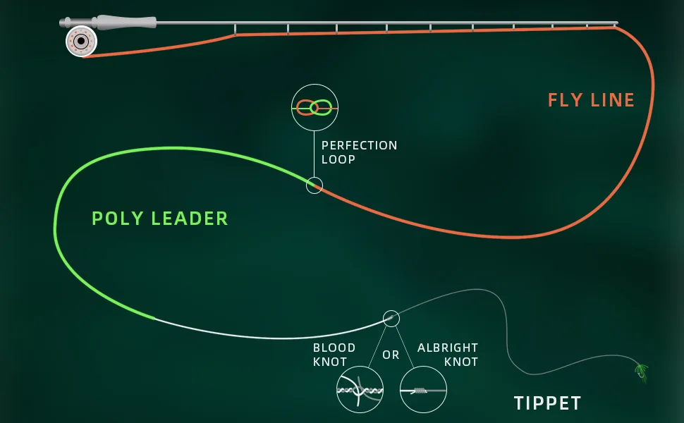 SF Fly Fishing Polyleader Monofilament Core Leader Line Fly Line for 7' Trout and 10' Salmon Poly Leader 7FT/10FT Float Hover Intermediate 3/5/7IPS Clear-Intermediate-7FT Trout 7FT-Intermediate - product information 24